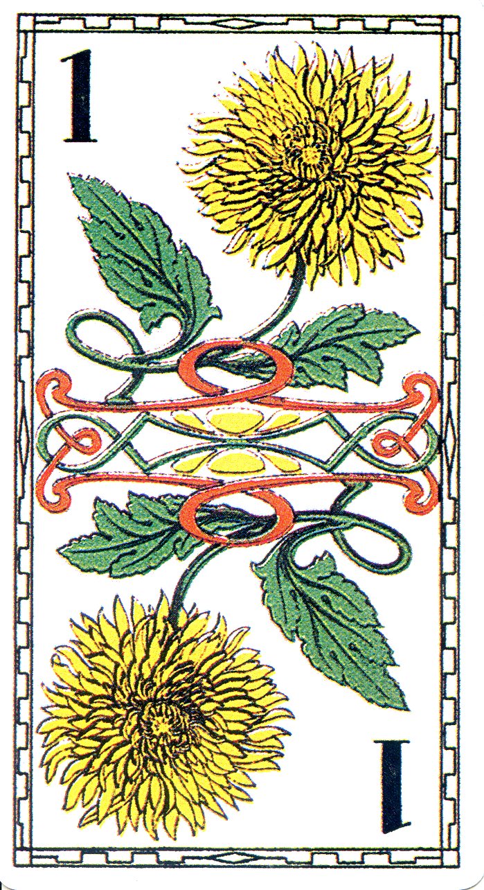 Emballagé Usé 78 Cartes Tarot Français Des Fleurs 1902 