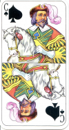 0096-25PAssisPCav
