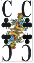 0098-67LargeVisionTCav