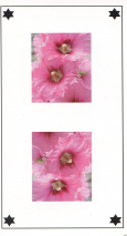 0110-22IleDeReExcuse