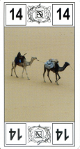 0138-08TouaregAtout14