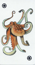 0204-22PacifiqueExcuse