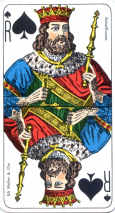 0239-23SAMullerPRoi