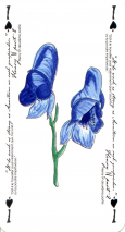 0280-36RosensveigPAs