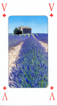 0288-54ProvenceKVal