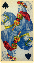 0291-25CegoPCav