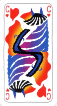 0316-39GambetteCCav