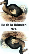 0320-79DodoDos
