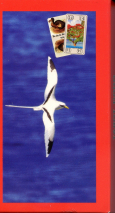0320-87DodoEtuiV