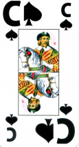 0341-25LargeVisionPCav