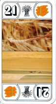 0347-01MalteriesAtout21