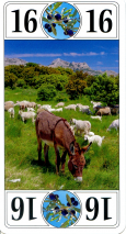 0355-06ProvenceAlpesAtout16