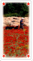 0355-22ProvenceAlpesExcuse