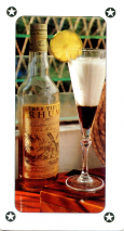 0367-22MartiniqueExcuse