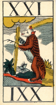 0373-01AnimalierAtout21