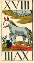 0373-04AnimalierAtout18