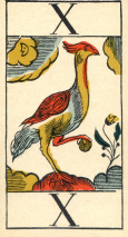 0373-12AnimalierAtout10
