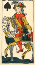 0373-25AnimalierPCav