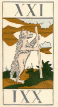 0376-01AnimalierAtout21