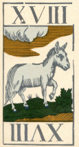 0376-04AnimalierAtout18