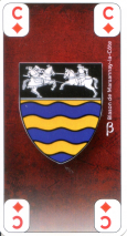 0420-53AP2BKCav